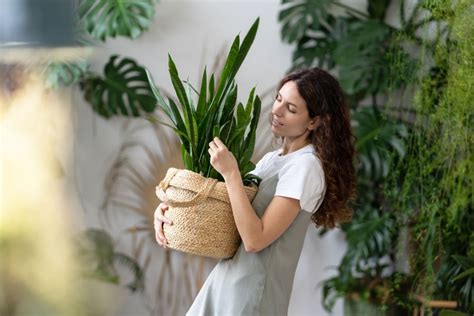 植物與人的關係|植栽潮背後的心理功效：擁抱、親吻，為何愈來愈多人。